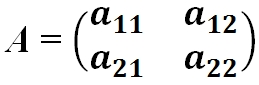 Квадратная матрица 2х2